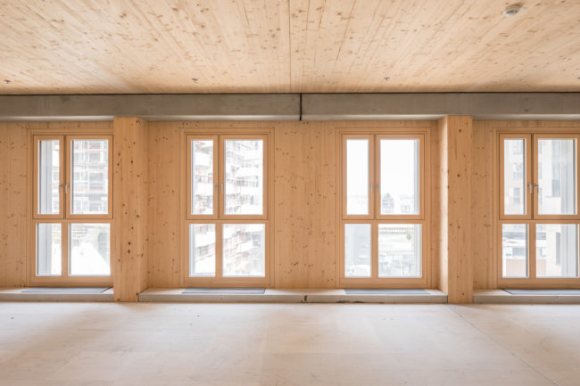 HoHo Wien | Holzhochhaus | dpa