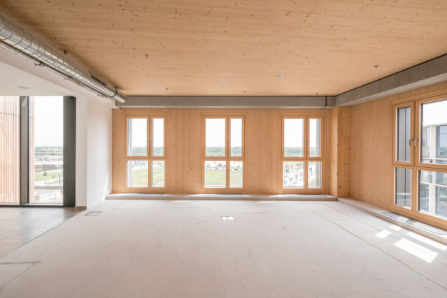 HoHo Wien | Holzhochhaus | dpa