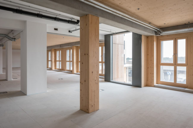 HoHo Wien | Holzhochhaus | dpa