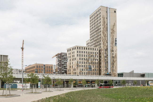 HoHo Wien | Holzhochhaus | dpa
