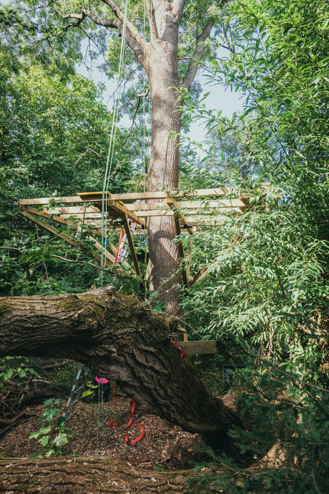 Baumzone | Baumhaus