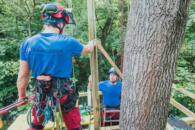 Baumzone | Baumhaus